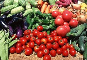 南通海门 食用农产品将拥有 