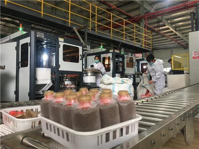 不负春光抓防疫保生产，关岭食用菌产业马力全开