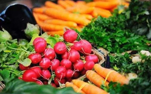 情暖公交与餐桌——2022年邯郸10项民生实事聚焦特殊群体出行与食品安全