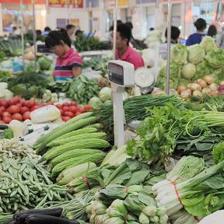 食用农产品合格证管理试点 守护“舌尖安全”的新举措