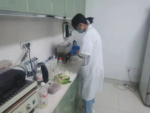 四大农贸市场抽检结果公布，36批次食用农产品安全有保障