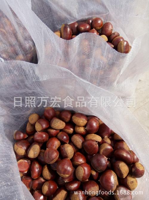日照海产品冷藏储存全攻略 从产地到餐桌的鲜味守护
