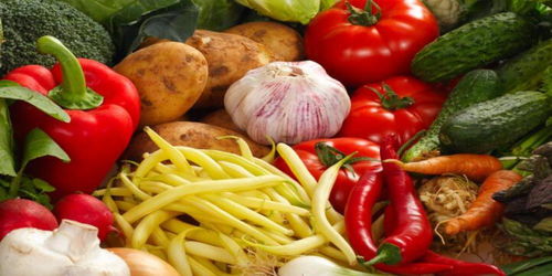 商务预报 食用农产品市场动态与价格趋势