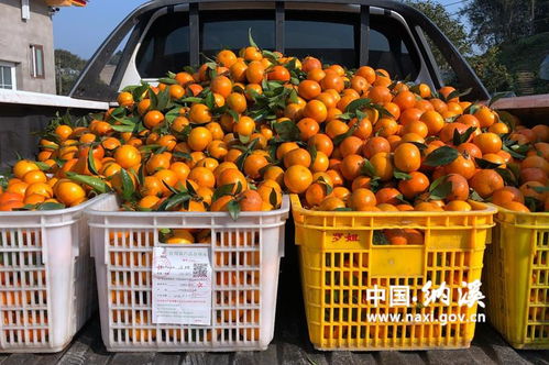 农产品合格证 守护百姓舌尖安全的重要防线